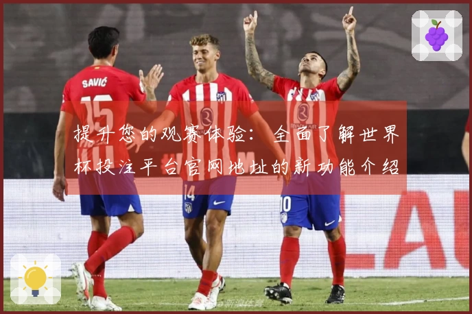 提升您的观赛体验：全面了解世界杯投注平台官网地址的新功能介绍