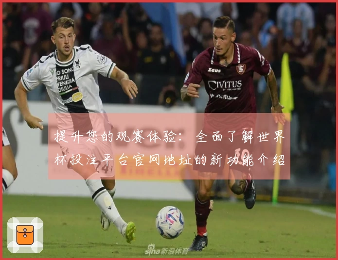 提升您的观赛体验：全面了解世界杯投注平台官网地址的新功能介绍