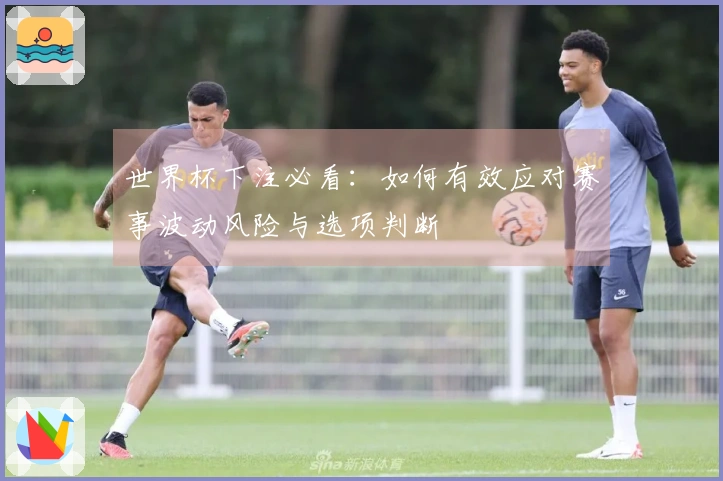 世界杯下注必看:如何有效应对赛事波动风险与选项判断