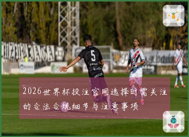 2026世界杯投注官网选择时需关注的合法合规细节与注意事项