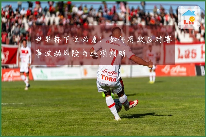 世界杯下注必看：如何有效应对赛事波动风险与选项判断