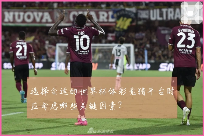 选择合适的世界杯体彩竞猜平台时应考虑哪些关键因素？