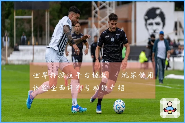 世界杯投注平台链接 – 玩家使用体验全面评测与功能介绍