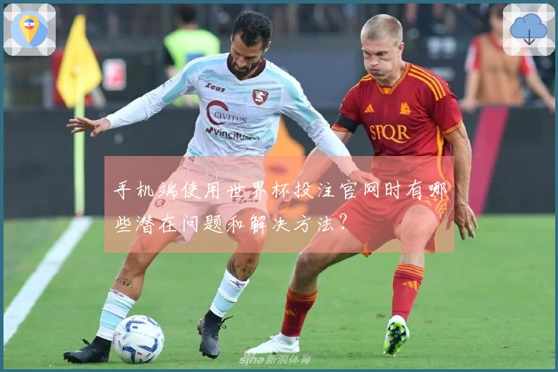 手机端使用世界杯投注官网时有哪些潜在问题和解决方法？