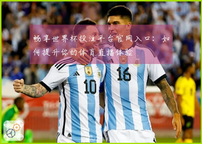 畅享世界杯投注平台官网入口：如何提升你的体育直播体验