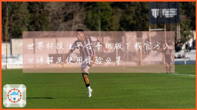 世界杯投注平台手机版下载官方入口详解及使用体验分享