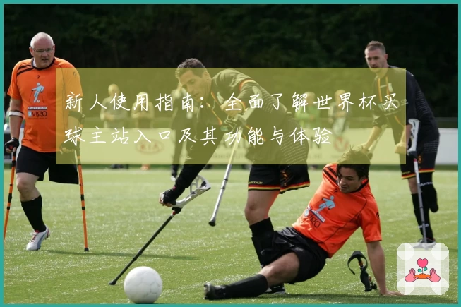 新人使用指南：全面了解世界杯买球主站入口及其功能与体验