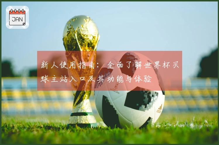 新人使用指南：全面了解世界杯买球主站入口及其功能与体验