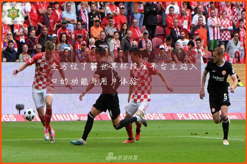 全方位了解世界杯投注平台主站入口的功能与用户体验