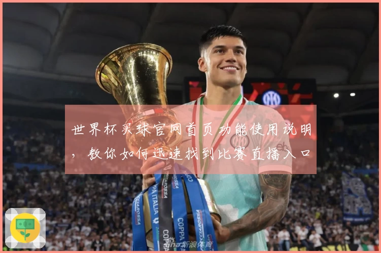 世界杯买球官网首页功能使用说明,教你如何迅速找到比赛直播入口