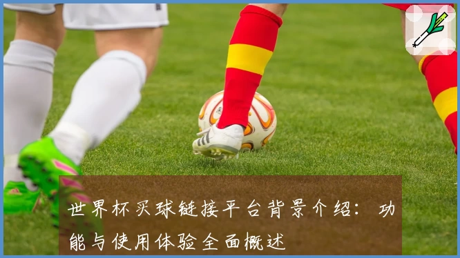 世界杯买球链接平台背景介绍：功能与使用体验全面概述