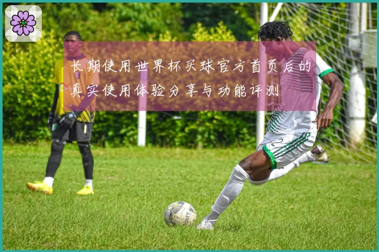 长期使用世界杯买球官方首页后的真实使用体验分享与功能评测