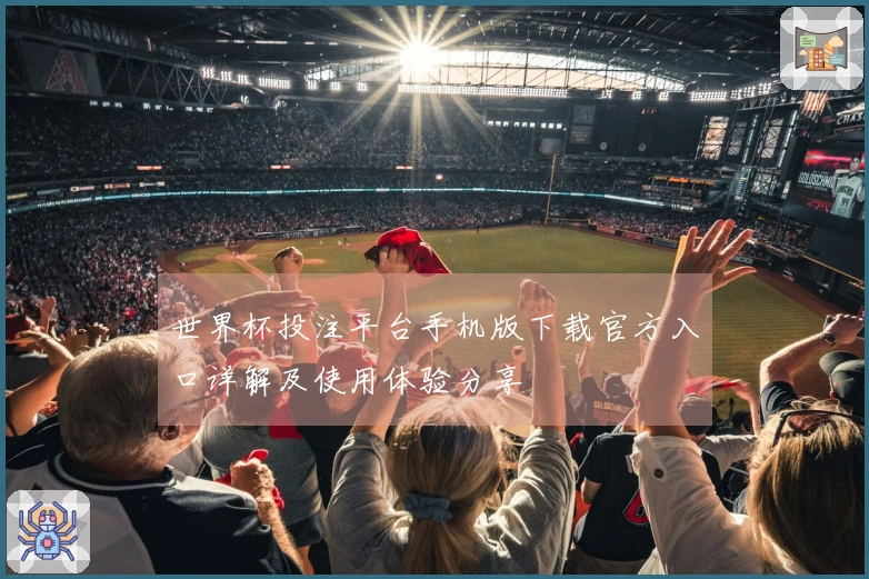 世界杯投注平台手机版下载官方入口详解及使用体验分享