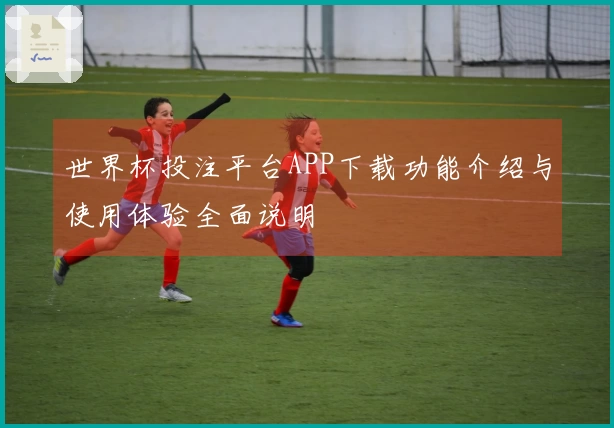 世界杯投注平台APP下载功能介绍与使用体验全面说明